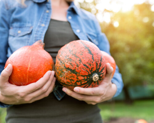 What’s the Difference Between Gourds, Squash and Pumpkins?