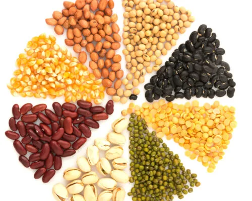 The Essential Guide to Plant-Based Protein