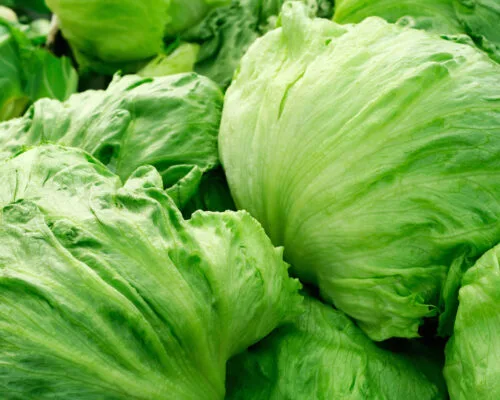 Does Iceberg Lettuce Have Any Nutritional Value?