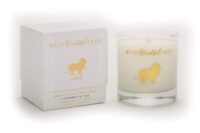 wild-beautiful-free-aromatherapy-candle