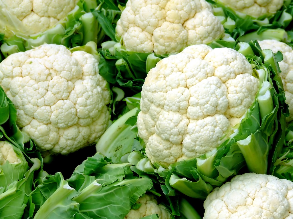 Close up shot of cauliflower