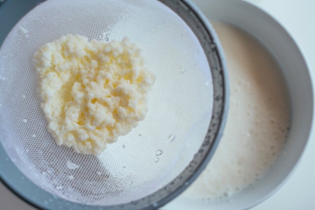 Close up of kefir grains being strained.