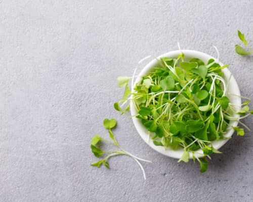 The Wonders of Watercress: 5 Healthy Reasons to Eat More Plus 5 Mouthwatering Recipes