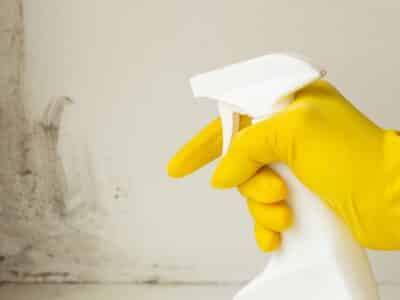Mold Growth In Your Home: How To Prevent It