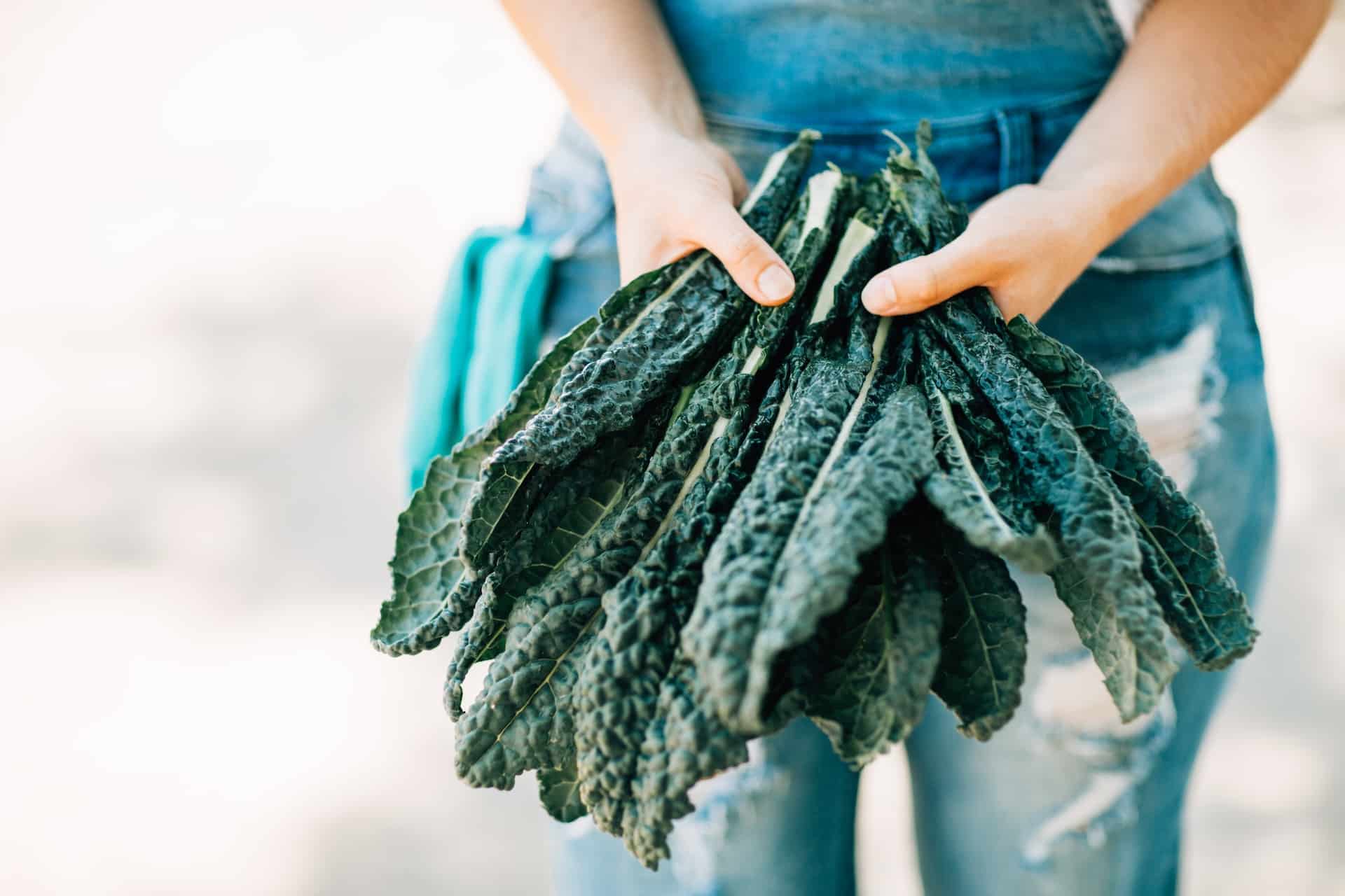 Young woman holding a bunch of Kale good for mind-vision connection