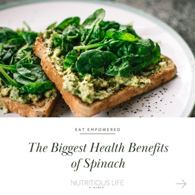 Happy National Spinach Day! 🥬 

Yes, there's a day just for this nutrient-dense green food. So, don't go underestimating the power of this leafy green. Popeye knew it all along—spinach is a superfood packed with nutrients that may benefit your health in countless ways. So next time you're at the grocery store or farmer's market,  grab a bunch and...
-add it avocado toast
-make a spring salad 
-sautee it with olive oil and garlic
-throw it in a smoothie
-add it to a scramble

#nationalspinachday #spinachbenefits #healthyeating #eatempowered